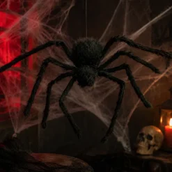 Harige spin Halloween zwart