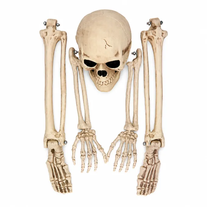 Skelet Halloween 5 delig