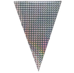 Vlaggenlijn holografisch zilver - 2,6m