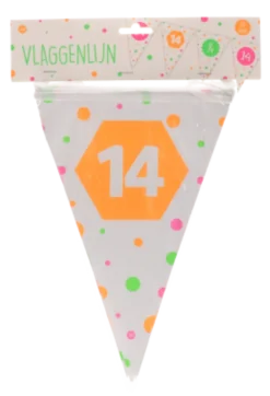 Vlaggenlijn neon 14 jaar - 4m (15 vlaggen)