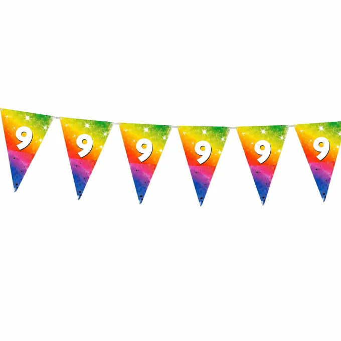 Vlaggenlijn regenboog folie 9 jaar - 6m