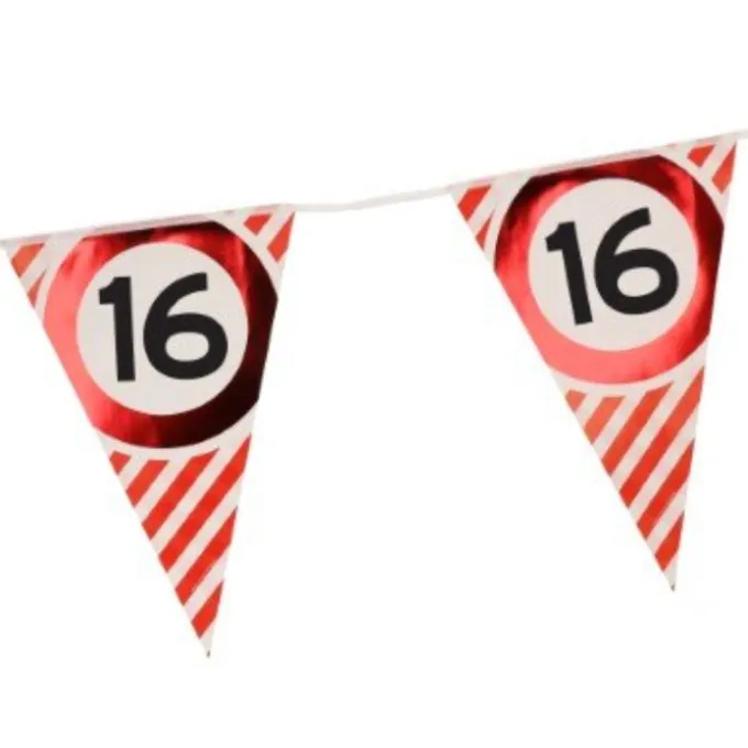 Vlaggenlijn verkeersbord 16 jaar - 3m