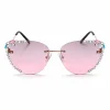 Zonnebril Zonnebril Glitter Roze #495